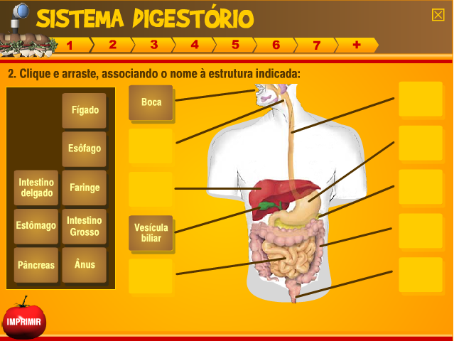 Jogo: Sistema Digestório :: Pensar Ciências